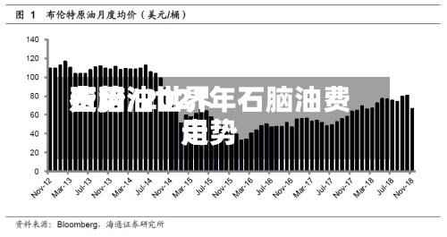 石脑油世界费用走势/2021年石脑油费用走势