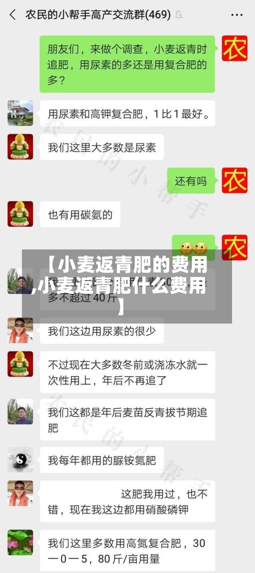 【小麦返青肥的费用,小麦返青肥什么费用】-第2张图片