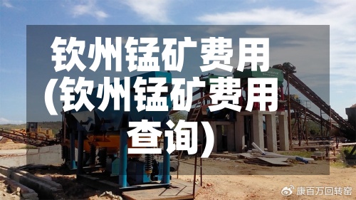 钦州锰矿费用(钦州锰矿费用查询)