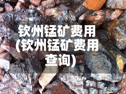 钦州锰矿费用
(钦州锰矿费用
查询)-第2张图片