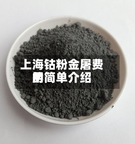 上海钴粉金屠费用的简单介绍