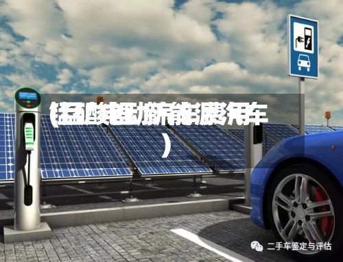 锰矿电动汽车费用(锰酸锂 新能源汽车)