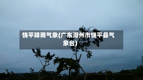 饶平降雨气象(广东潮州市饶平县气象台)-第2张图片