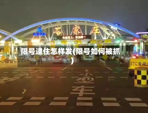 限号逮住怎样发(限号如何被抓)-第3张图片