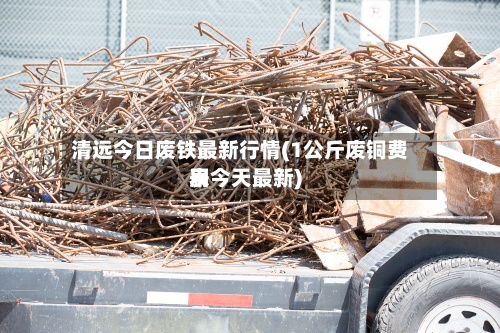 清远今日废铁最新行情(1公斤废铜费用表今天最新)-第2张图片