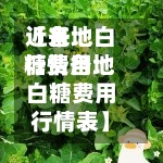 近来【各地白糖费用行情各地白糖费用行情表】-第3张图片