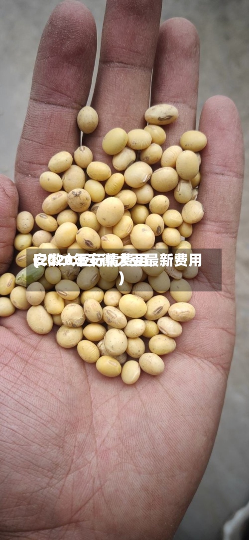 安徽大豆行情费用(2020年安徽大豆最新费用)