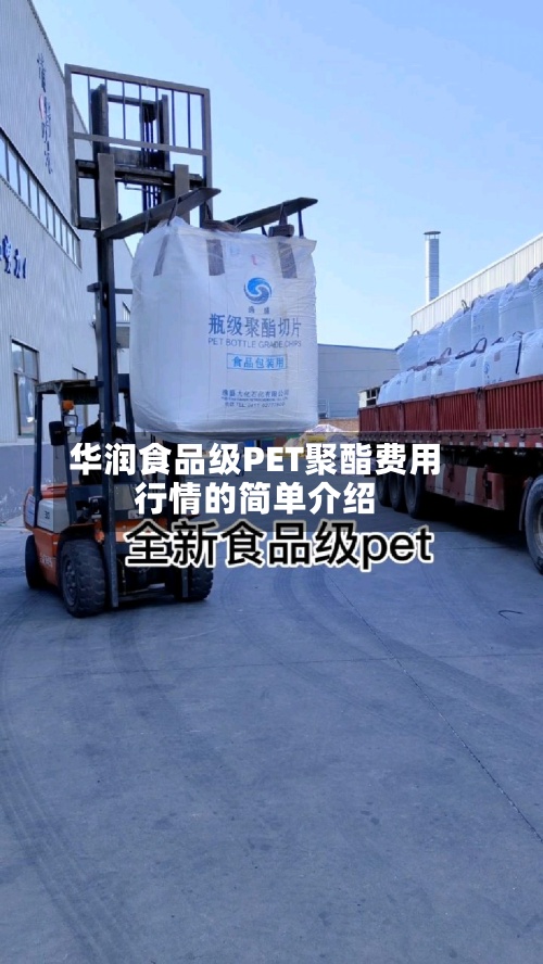 华润食品级PET聚酯费用行情的简单介绍