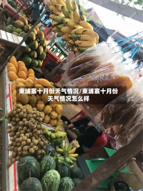 柬埔寨十月份天气情况/柬埔寨十月份天气情况怎么样