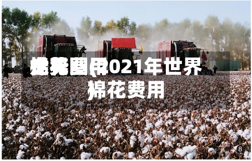 世界棉花费用走势图(2021年世界棉花费用)