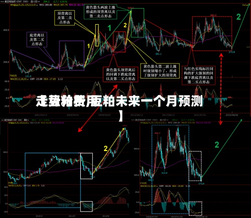 【豆粕费用走势分析,豆粕未来一个月预测】-第2张图片