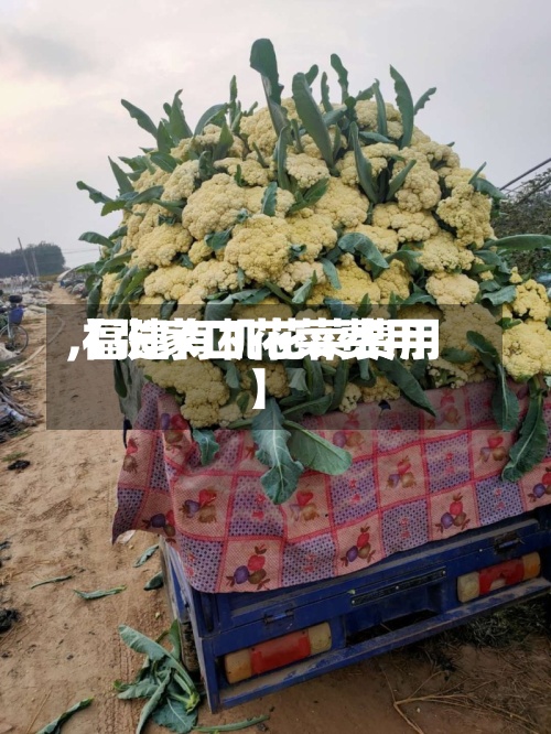 【张家口花菜费用,福建有机花菜费用】-第2张图片