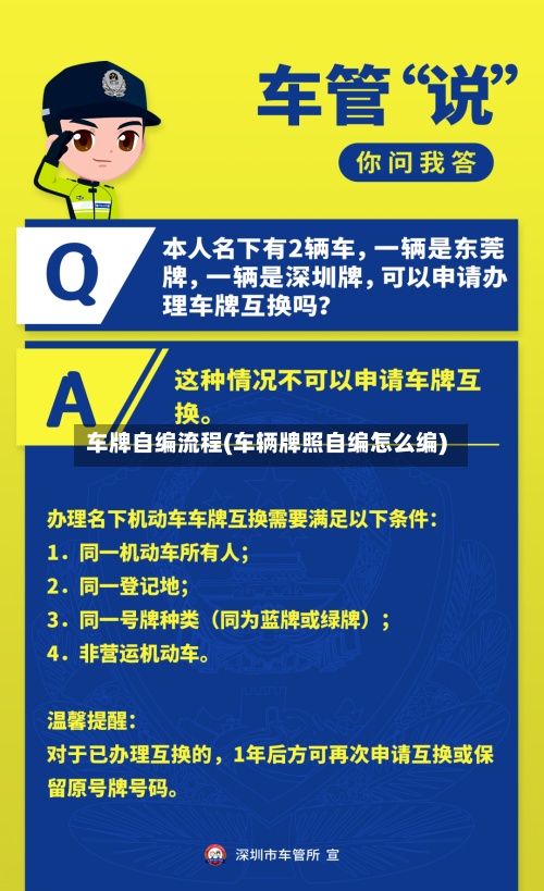 车牌自编流程(车辆牌照自编怎么编)-第3张图片