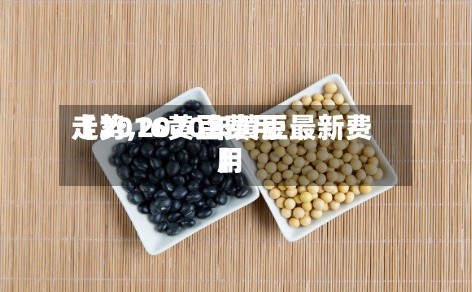 【2016黄豆费用走势,2020年黄豆最新费用】