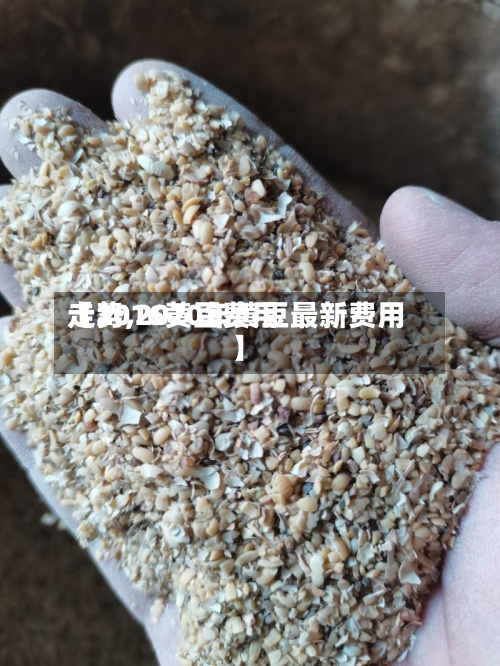 【2016黄豆费用
走势,2020年黄豆最新费用
】-第2张图片