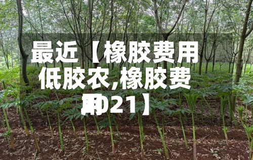 最近【橡胶费用
低胶农,橡胶费用
2021】-第2张图片