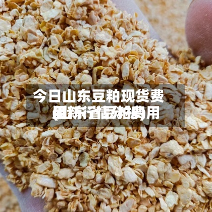 今日山东豆粕现货费用(山东省豆粕费用最新行情分析)-第2张图片