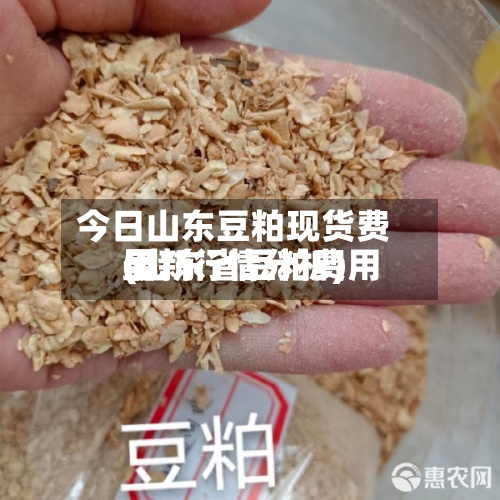 今日山东豆粕现货费用(山东省豆粕费用最新行情分析)-第3张图片