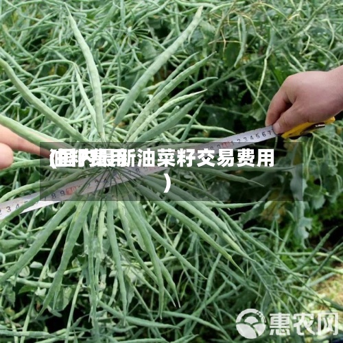 油籽费用(国内最新油菜籽交易费用)