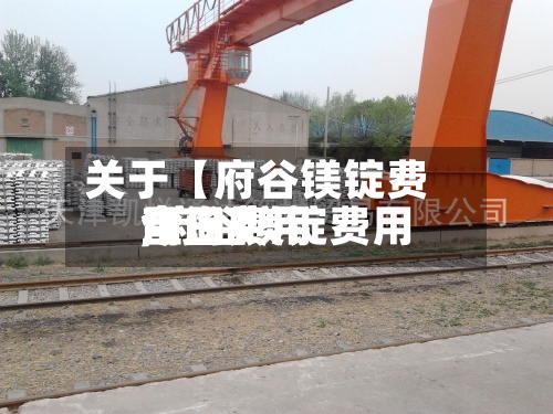关于【府谷镁锭费用今日费用,府谷镁锭费用今日费用查询】