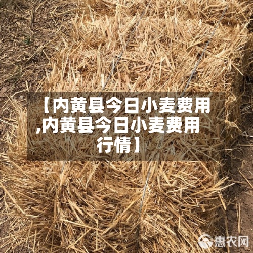 【内黄县今日小麦费用,内黄县今日小麦费用行情】