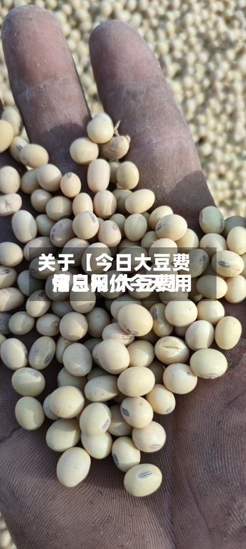 关于【今日大豆费用信息网,大豆费用今日报价今天】-第3张图片