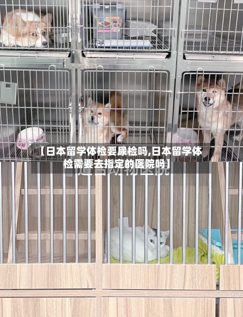 【日本留学体检要尿检吗,日本留学体检需要去指定的医院吗】-第2张图片