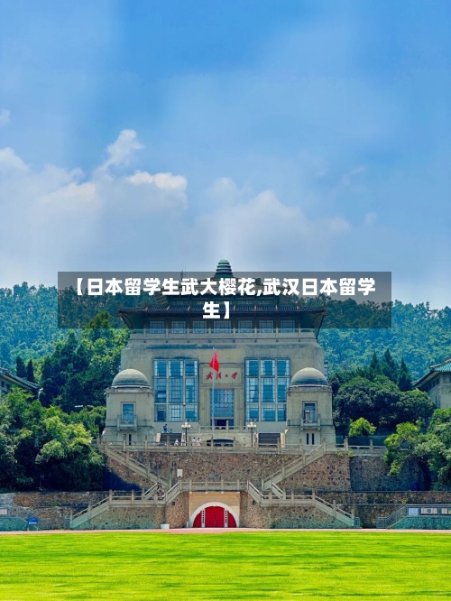 【日本留学生武大樱花,武汉日本留学生】-第3张图片