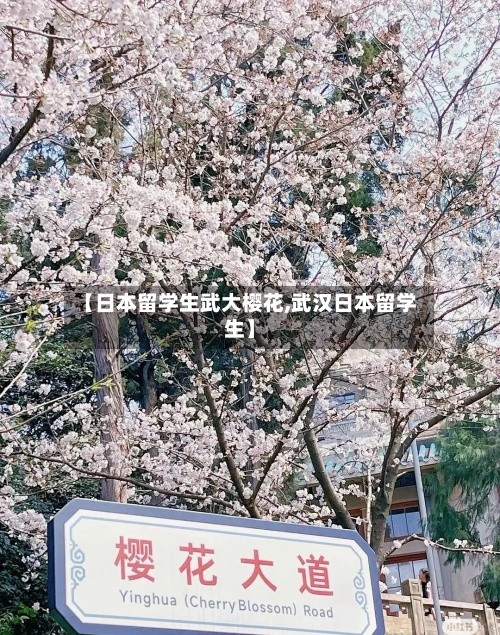 【日本留学生武大樱花,武汉日本留学生】-第2张图片