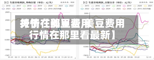 关于【美豆费用行情在那里看,美豆费用行情在那里看最新】