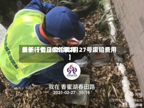 关于【七日废铅费用最新行情,2021年2月27号废铅费用】-第2张图片