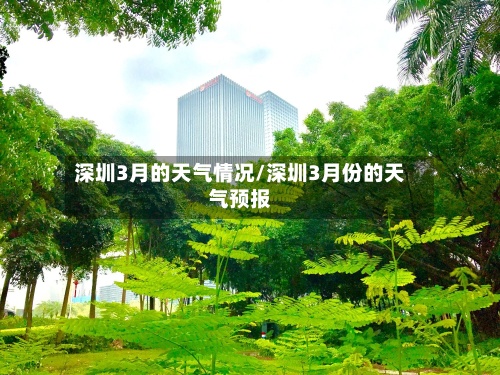 深圳3月的天气情况/深圳3月份的天气预报-第2张图片