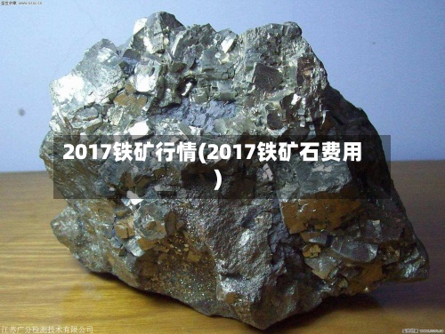 2017铁矿行情(2017铁矿石费用)