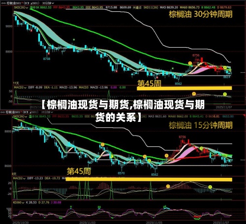 【棕榈油现货与期货,棕榈油现货与期货的关系】