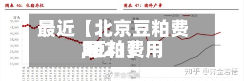 最近【北京豆粕费用,豆粕费用2021】