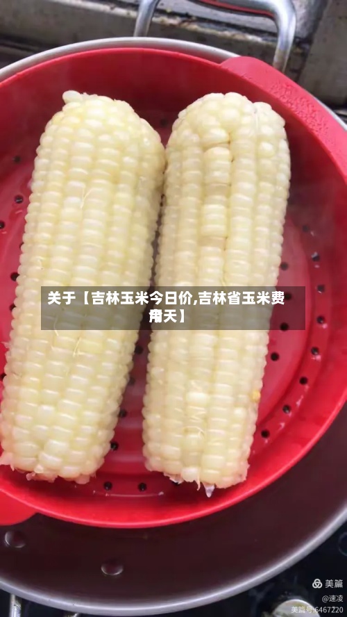关于【吉林玉米今日价,吉林省玉米费用今天】