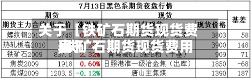 关于【铁矿石期货现货费用,铁矿石期货现货费用表】