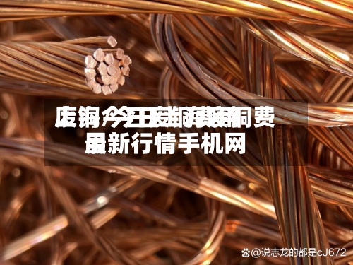 上海今日废铜费用废铜/今日上海废铜费用最新行情手机网-第2张图片