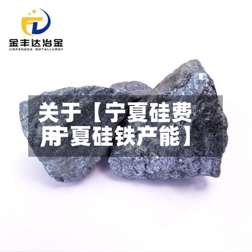 关于【宁夏硅费用,宁夏硅铁产能】-第2张图片