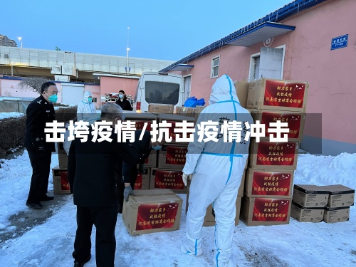 击垮疫情/抗击疫情冲击