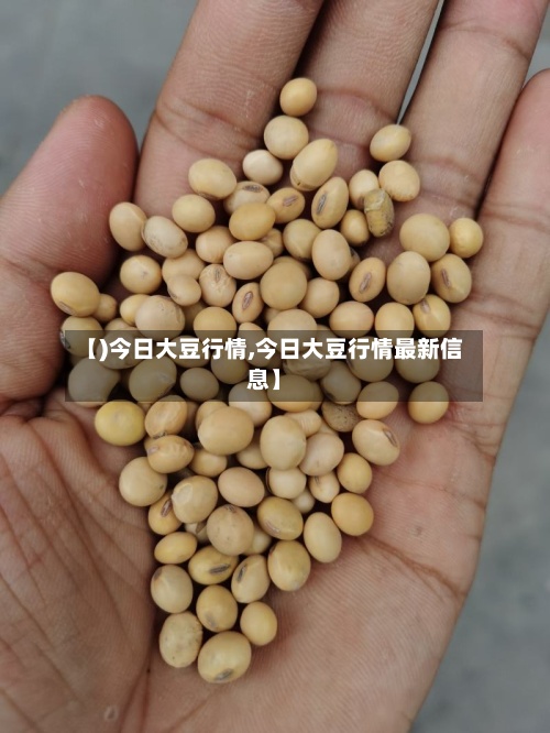 【)今日大豆行情,今日大豆行情最新信息】
