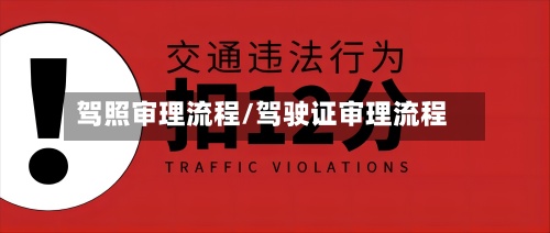 驾照审理流程/驾驶证审理流程