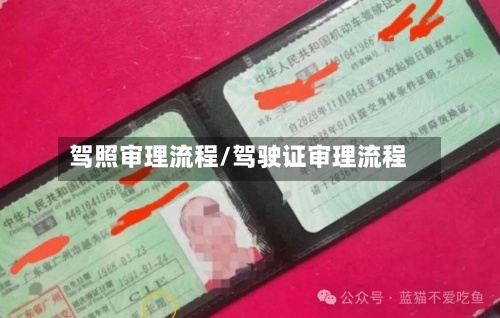 驾照审理流程/驾驶证审理流程-第2张图片