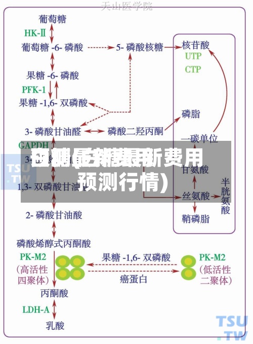 白糖最新费用预测(白糖最新费用预测行情)-第2张图片