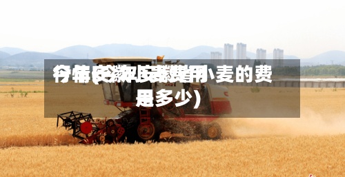 今年安徽小麦费用行情(今年安徽省小麦的费用是多少)-第2张图片