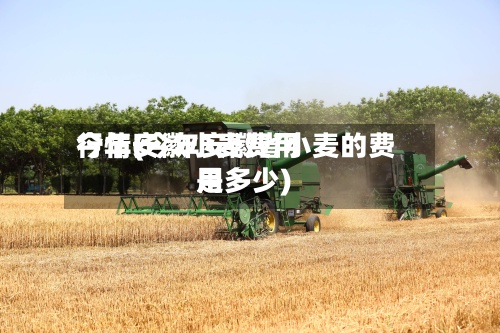 今年安徽小麦费用行情(今年安徽省小麦的费用是多少)