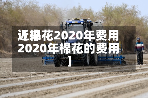 近来【棉花2020年费用2020年棉花的费用】