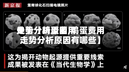 关于【鸡蛋费用走势分析原因,鸡蛋费用走势分析原因有哪些】