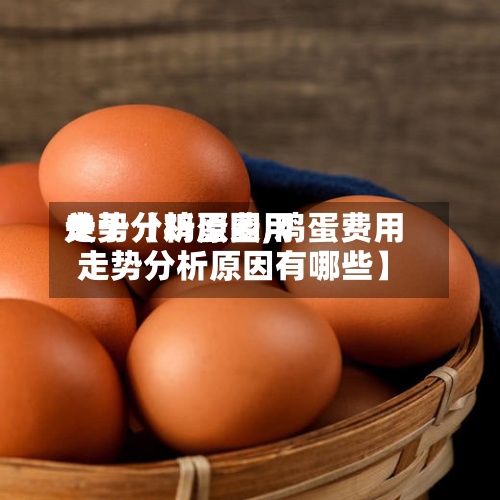 关于【鸡蛋费用走势分析原因,鸡蛋费用走势分析原因有哪些】-第3张图片