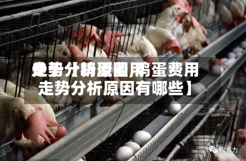 关于【鸡蛋费用走势分析原因,鸡蛋费用走势分析原因有哪些】-第2张图片